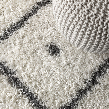Mercer Shag Plush Tassel Moroccan Diamond Area Rug